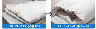 ふとんを洗う前と後の比較。ダニ・アレルゲン量が350匹/㎡から10匹/㎡以下に減少